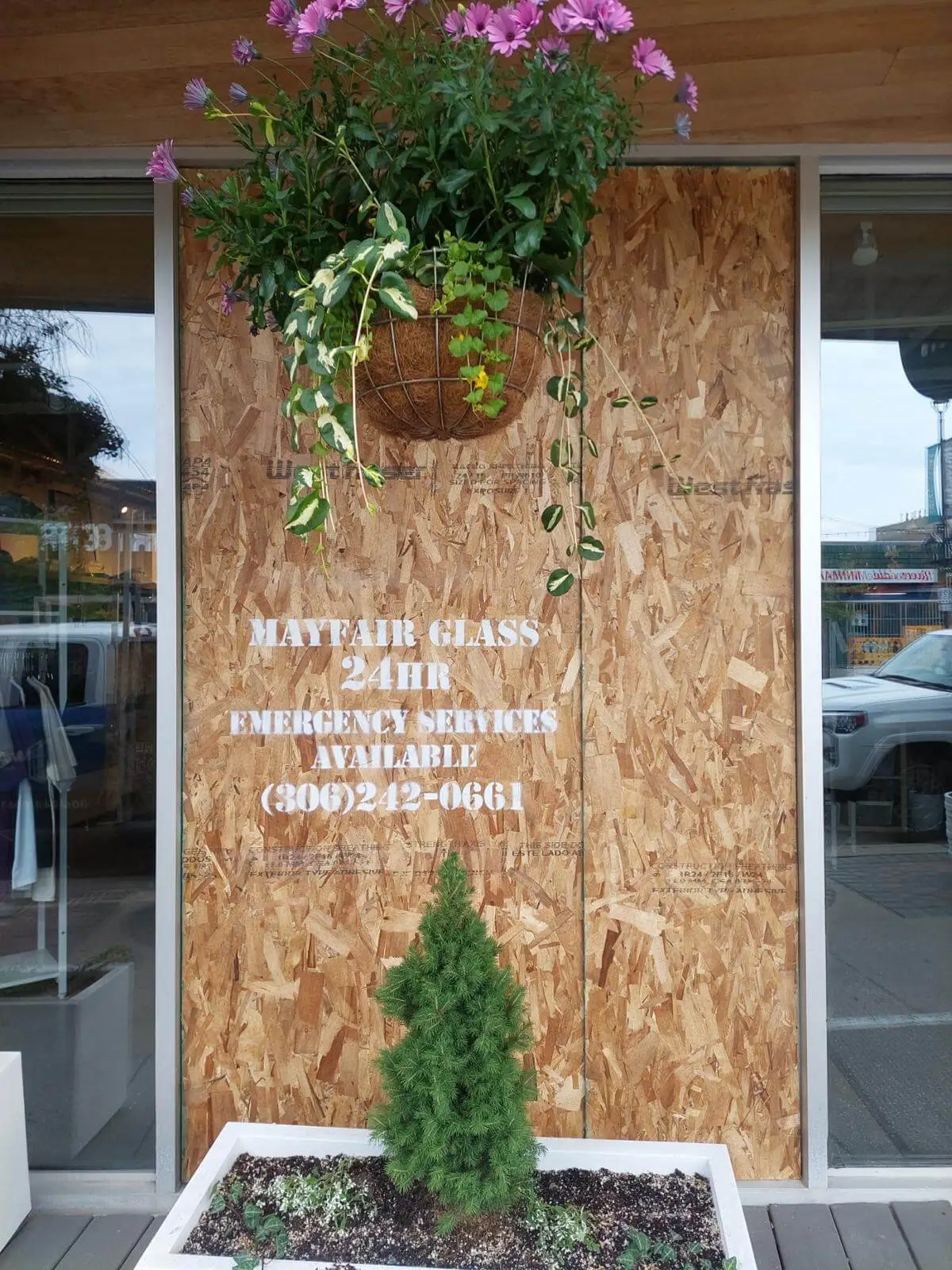 Mayfair Glass storefront